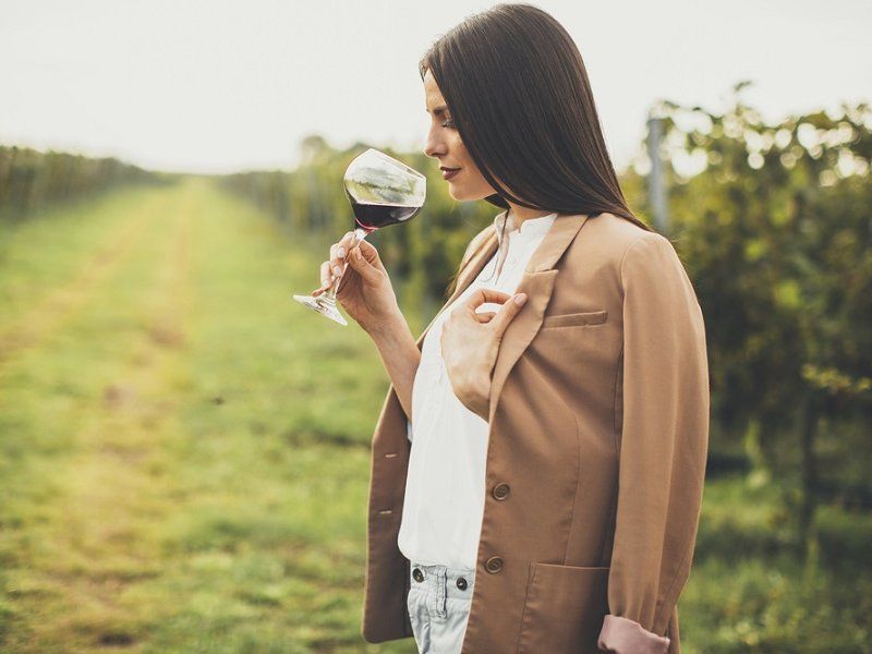 Winery Tour and Wine Tasting in Bologna