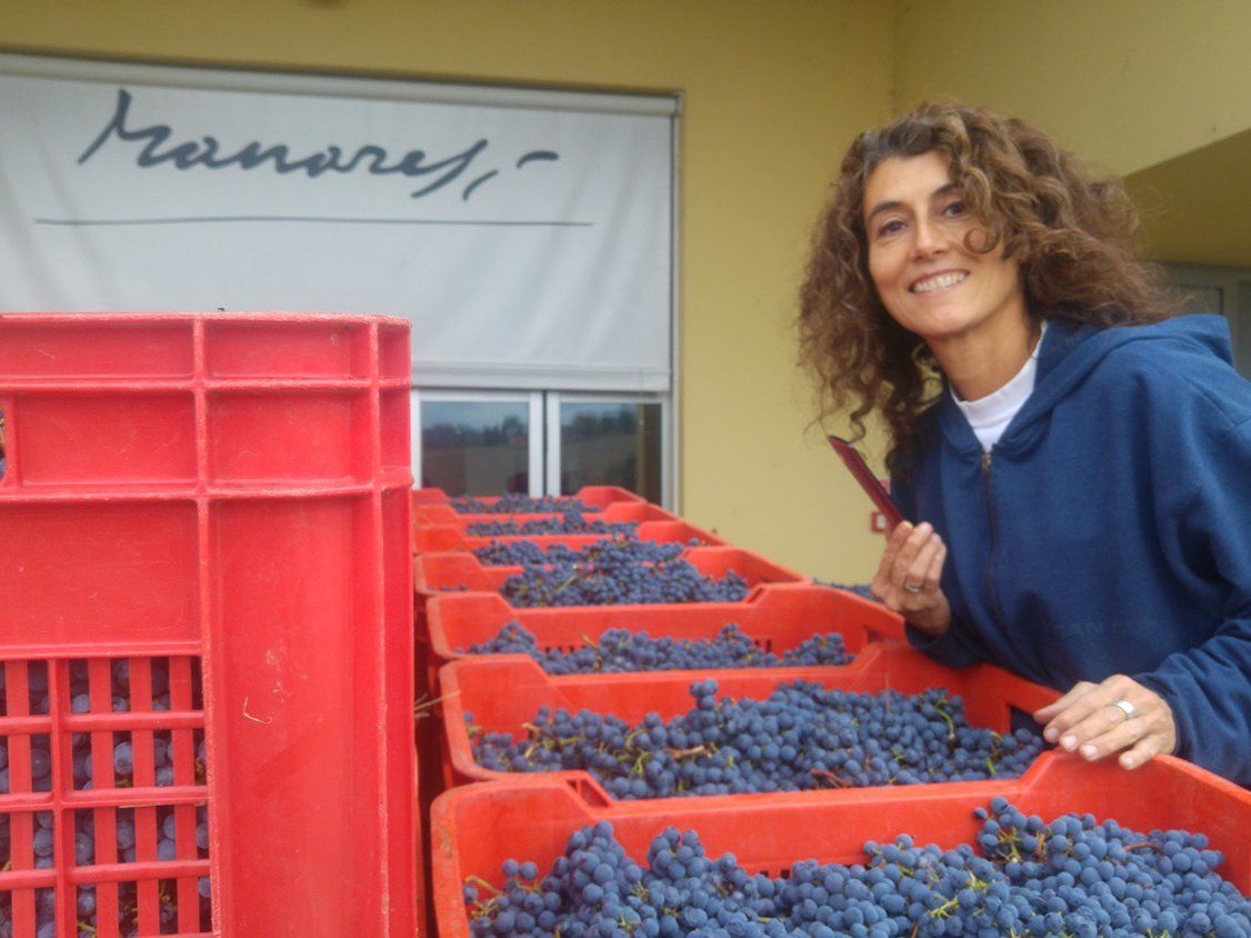 Winery Tour and Wine Tasting in Bologna