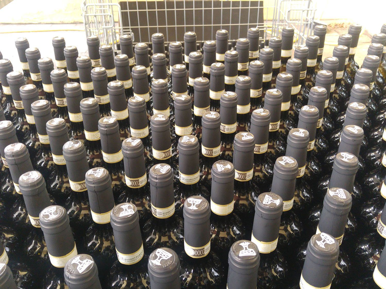 Winery Tour and Wine Tasting in Bologna