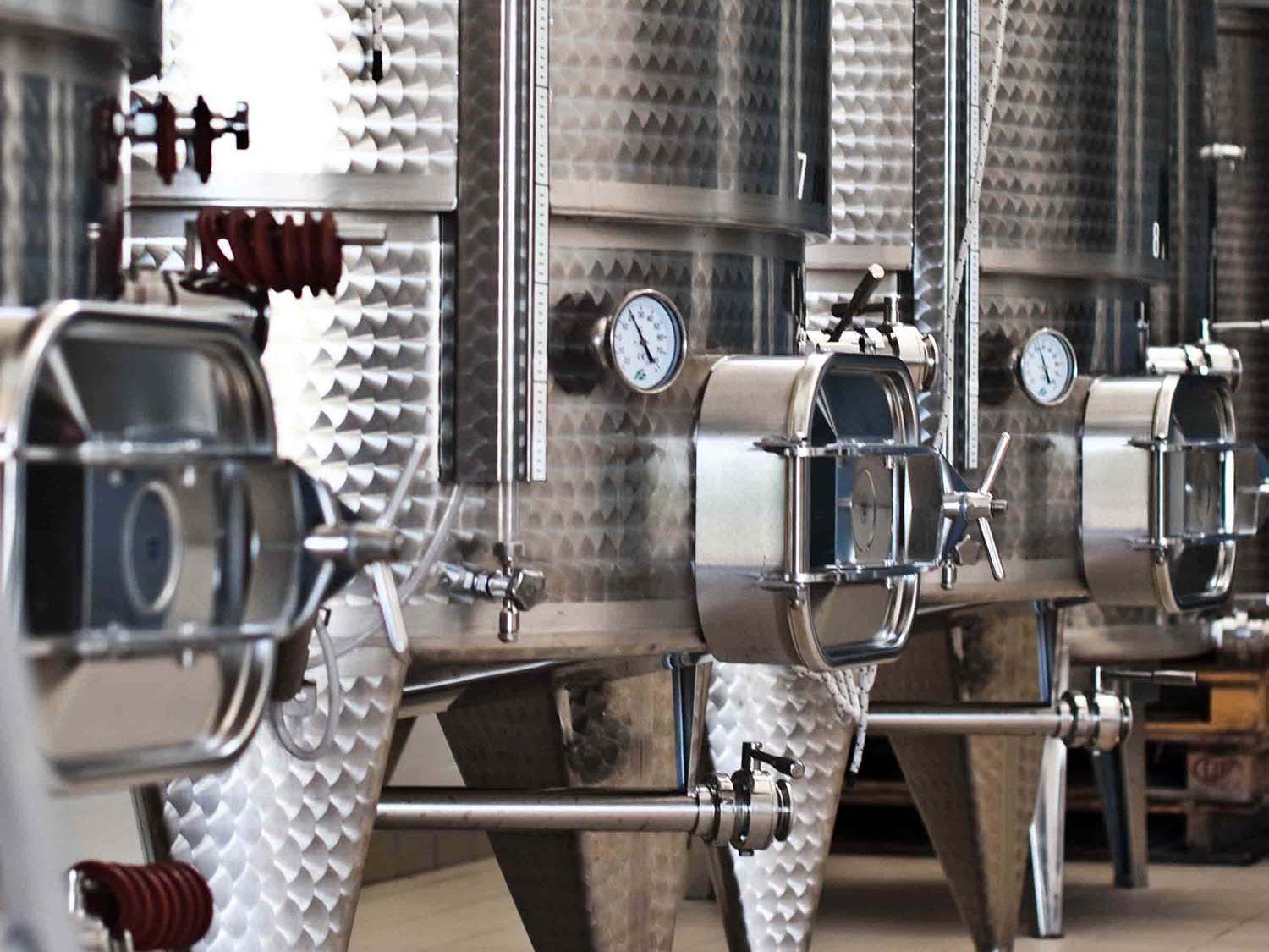 Winery Tour and Wine Tasting in Bologna