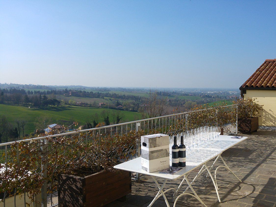 Winery Tour and Wine Tasting in Bologna