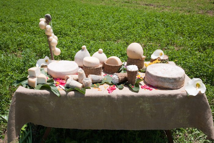 From Grass to Cheese Farm Tour, Cheese Making Workshop and Tasting - Private Class