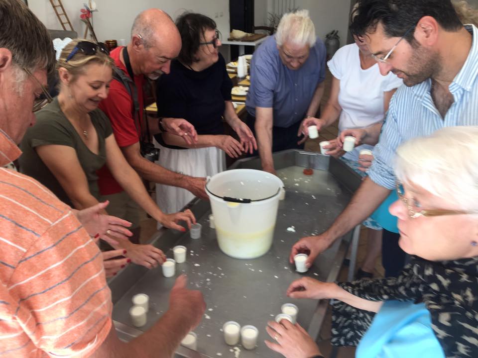From Grass to Cheese Farm Tour, Cheese Making Workshop and Tasting - Private Class