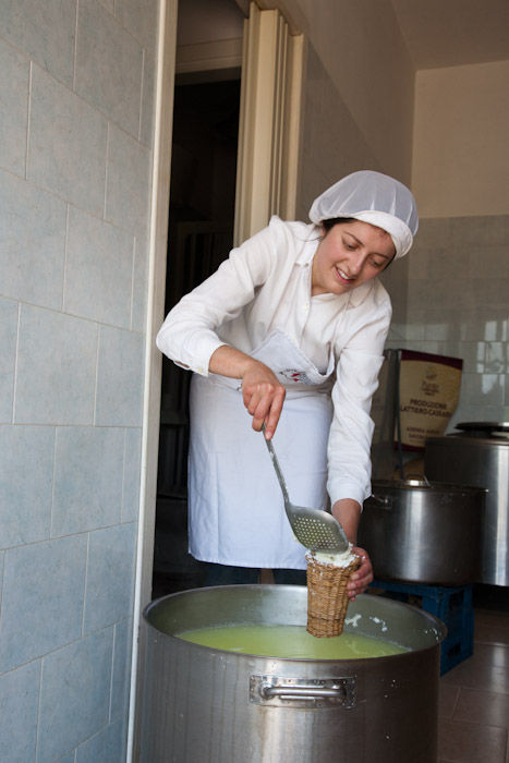 From Grass to Cheese Farm Tour, Cheese Making Workshop and Tasting - Private Class
