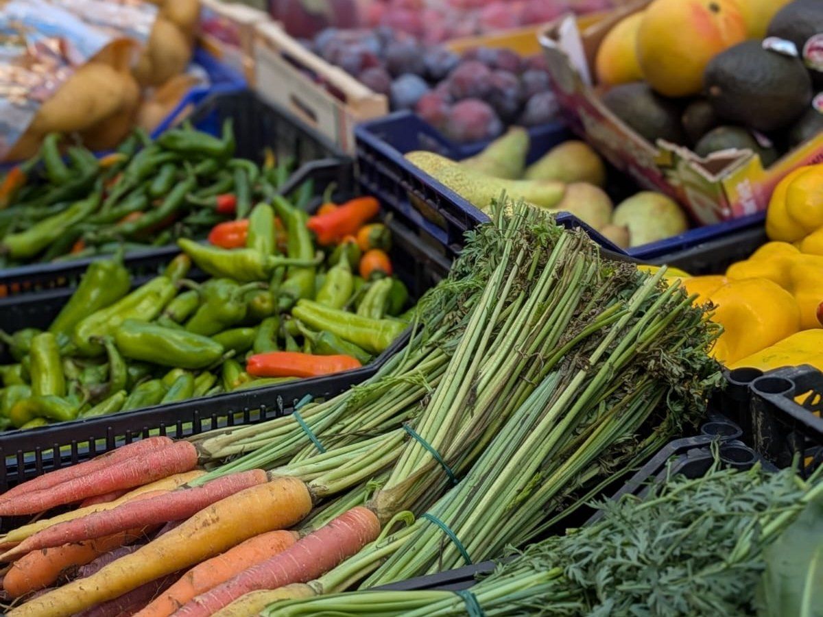 Tuscan Market-to-Table Cooking Experience & Wine Tasting