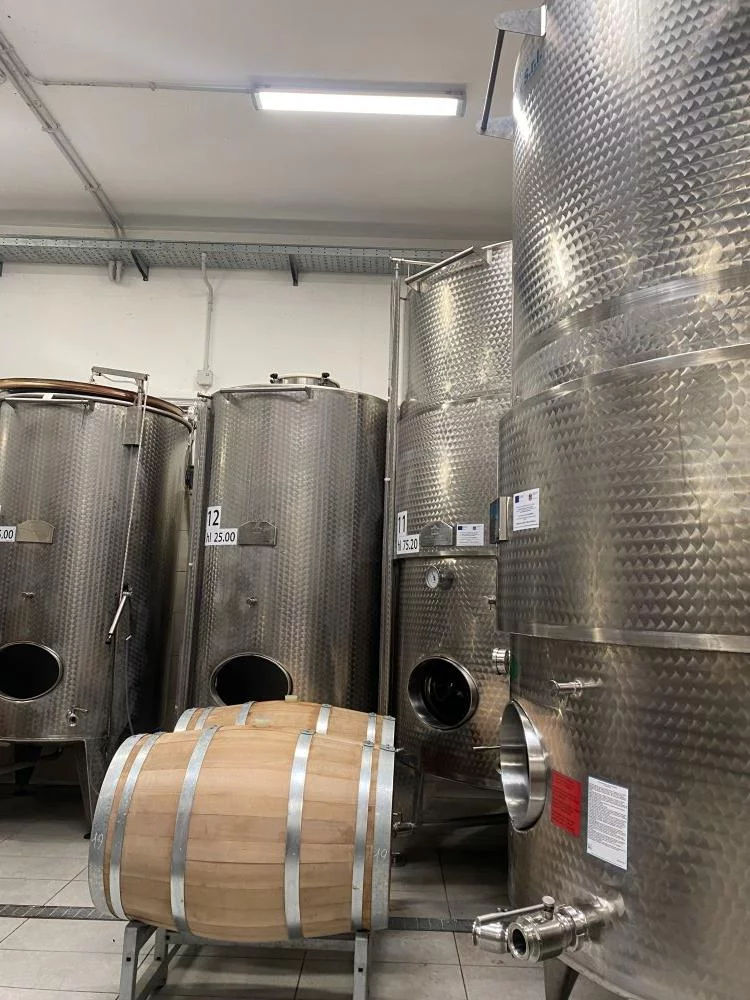 From Vineyard to Table: Wine Tasting and Gourmet Pizza Making in Rome