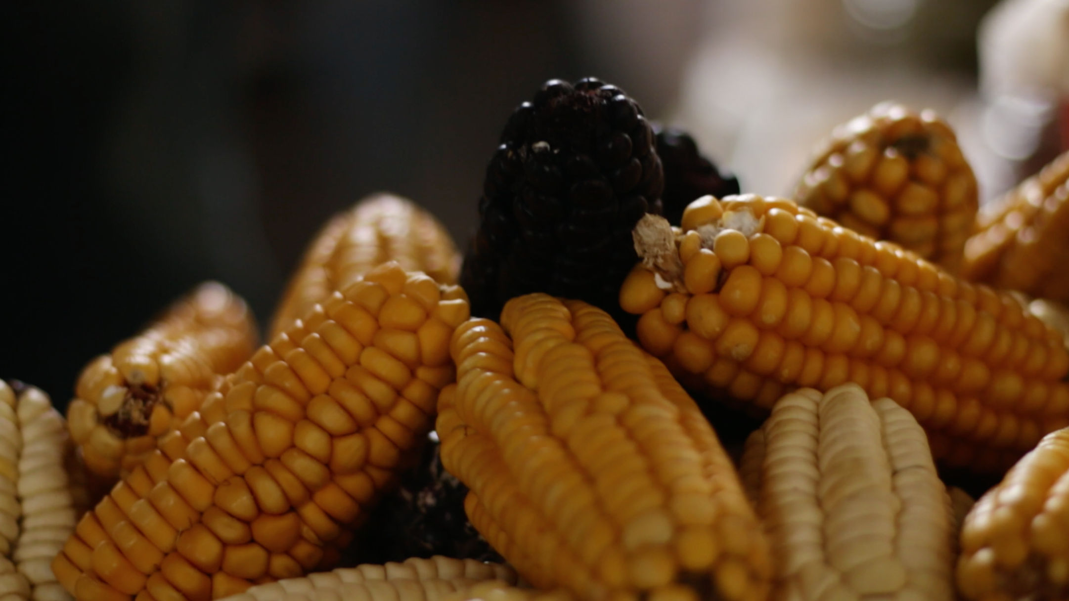 A Bite of Cusco Gourmet Cooking Lessons in Cusco with Market Tour