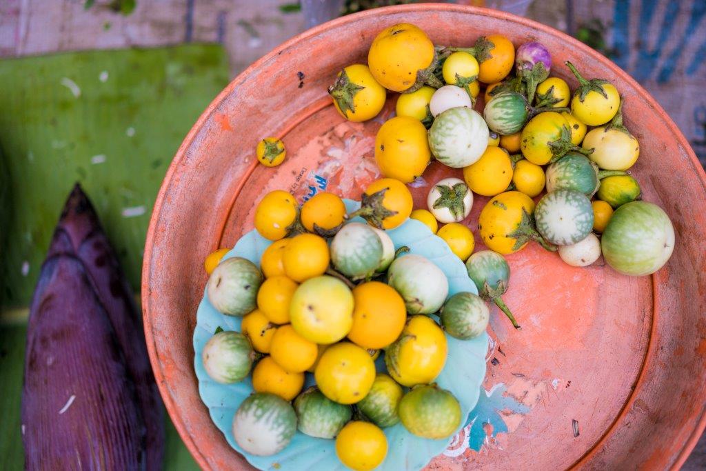 Spice Spoons |  A Thai Culinary Journey in Chiang Rai