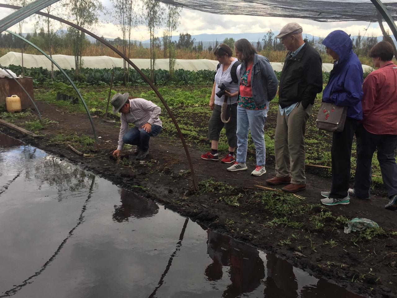 Découvrez les chinampas lors d'une visite gastronomique le long des canaux de Xochimilco (prix pour 9 personnes m...