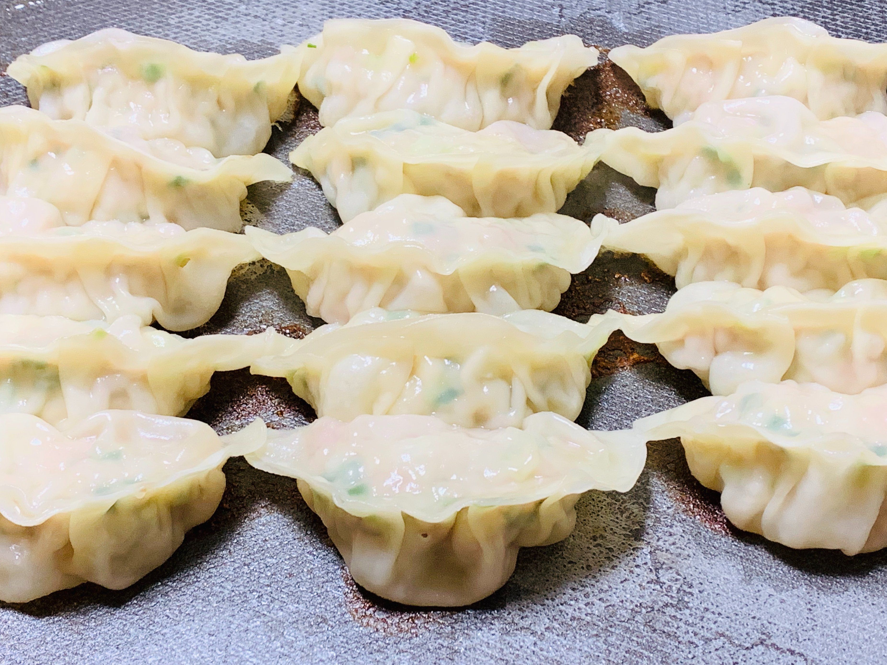 The Art of Making Homemade Japanese Gyoza Class in Nagoya