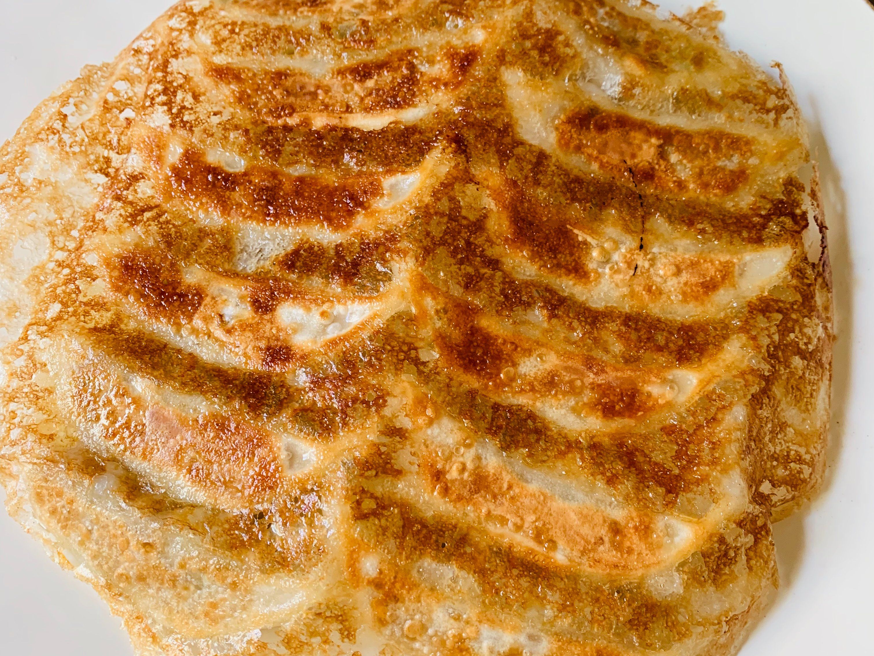 The Art of Making Homemade Japanese Gyoza Class in Nagoya