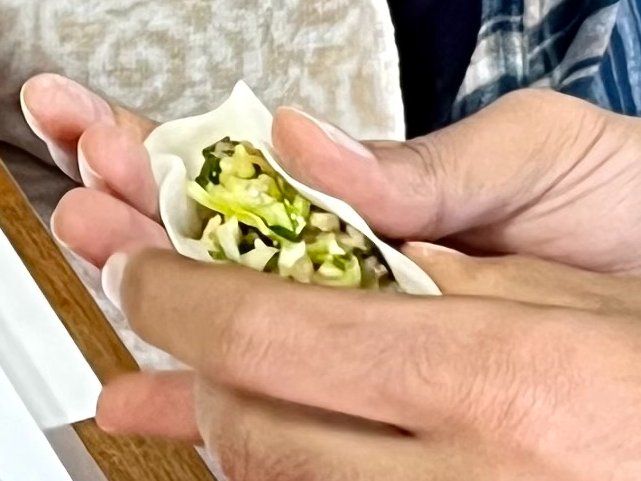 The Art of Making Homemade Japanese Gyoza Class in Nagoya