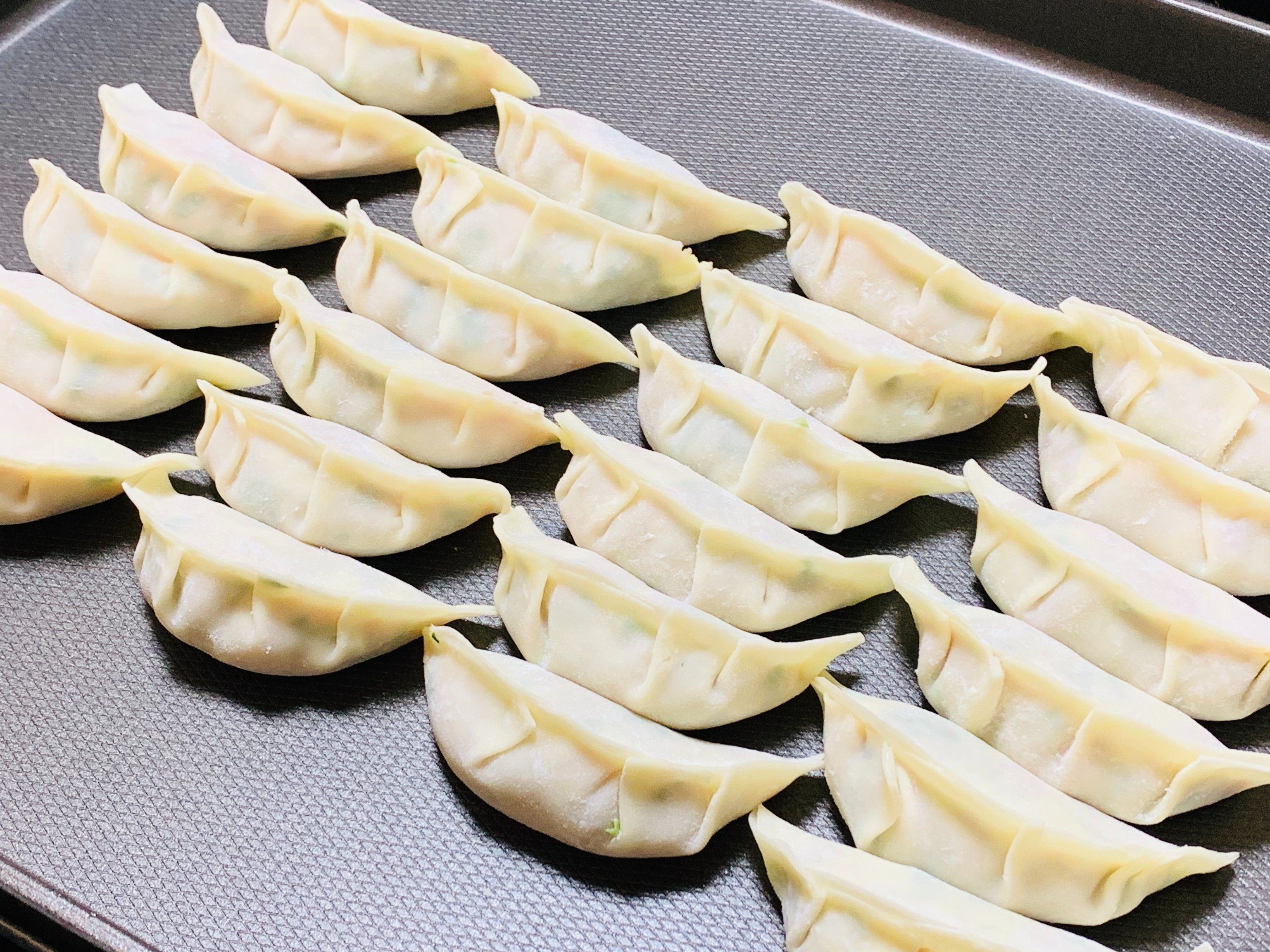 The Art of Making Homemade Japanese Gyoza Class in Nagoya
