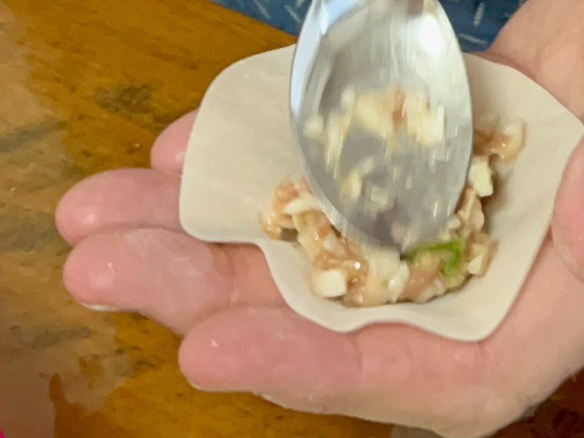 The Art of Making Homemade Japanese Gyoza Class in Nagoya