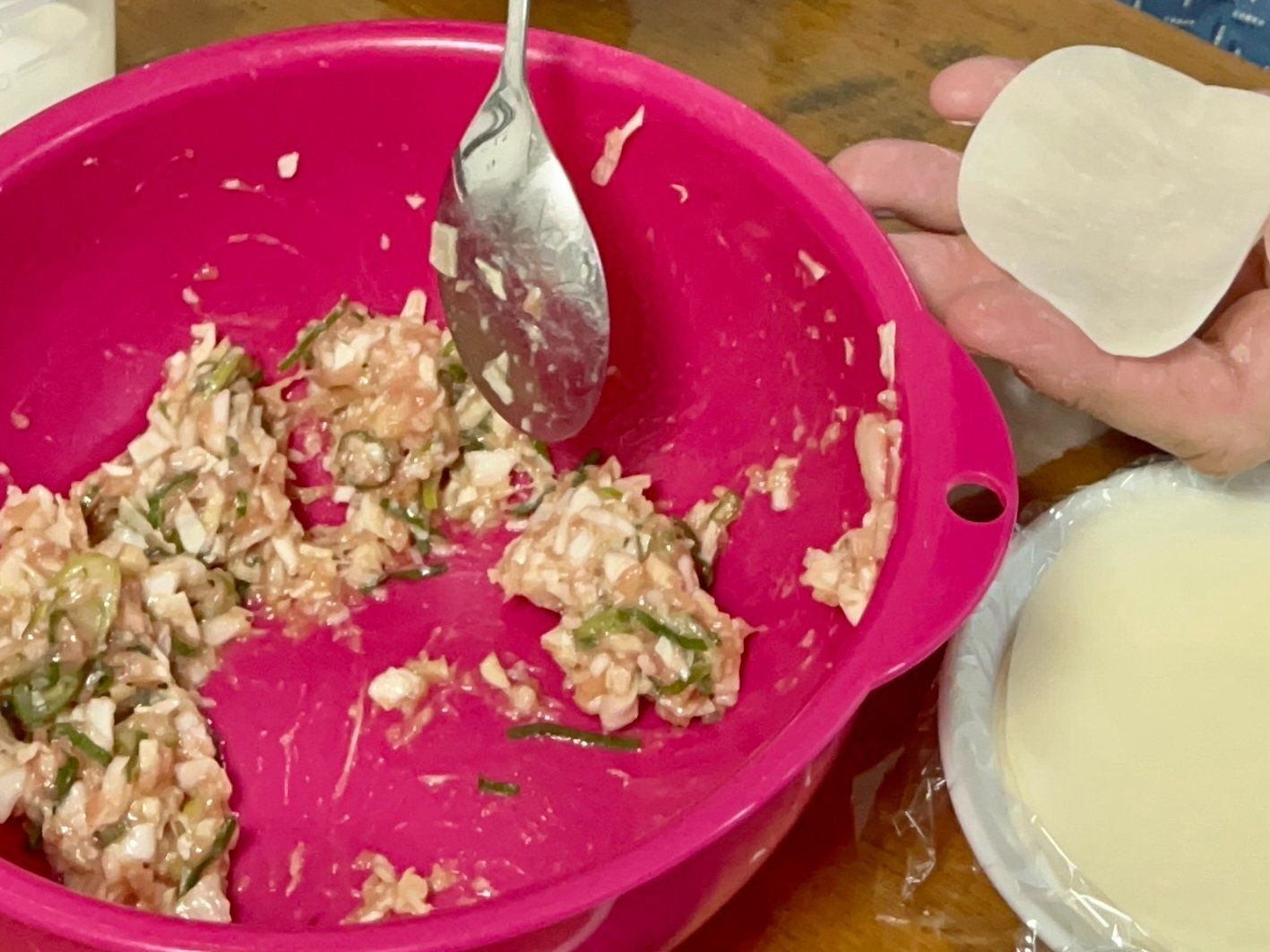 The Art of Making Homemade Japanese Gyoza Class in Nagoya