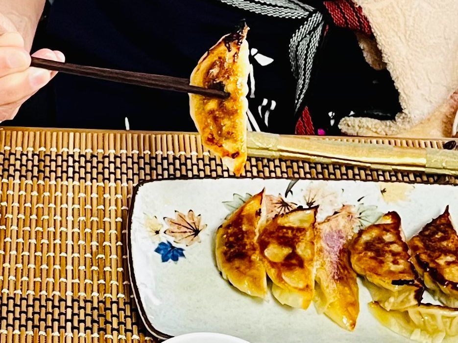 The Art of Making Homemade Japanese Gyoza Class in Nagoya