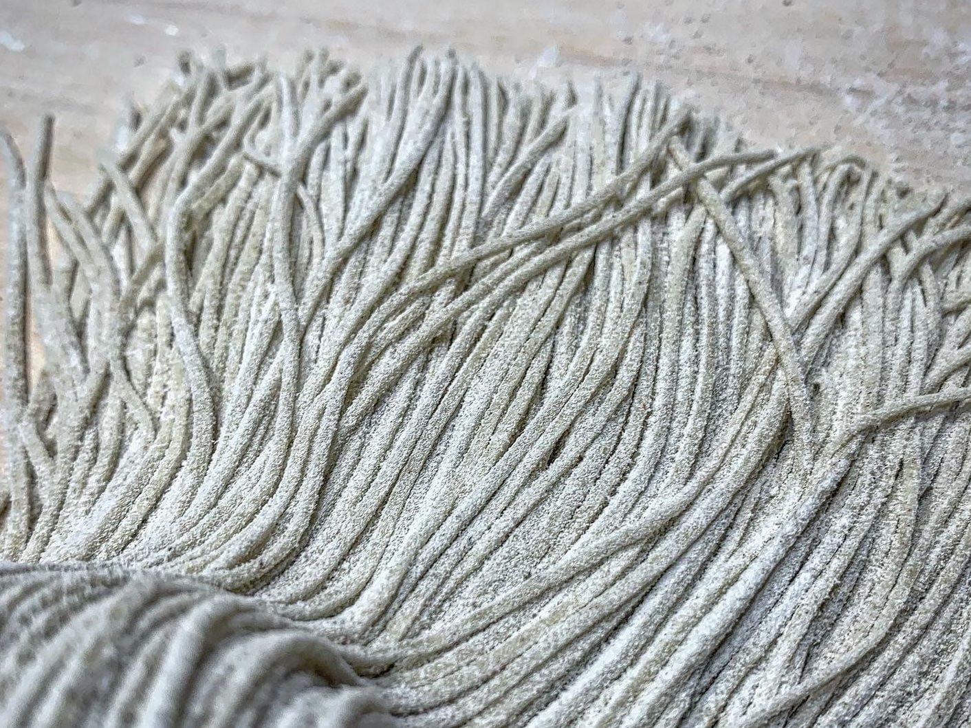 Handmade Soba Noodle & Tempura Class with Professional Chef