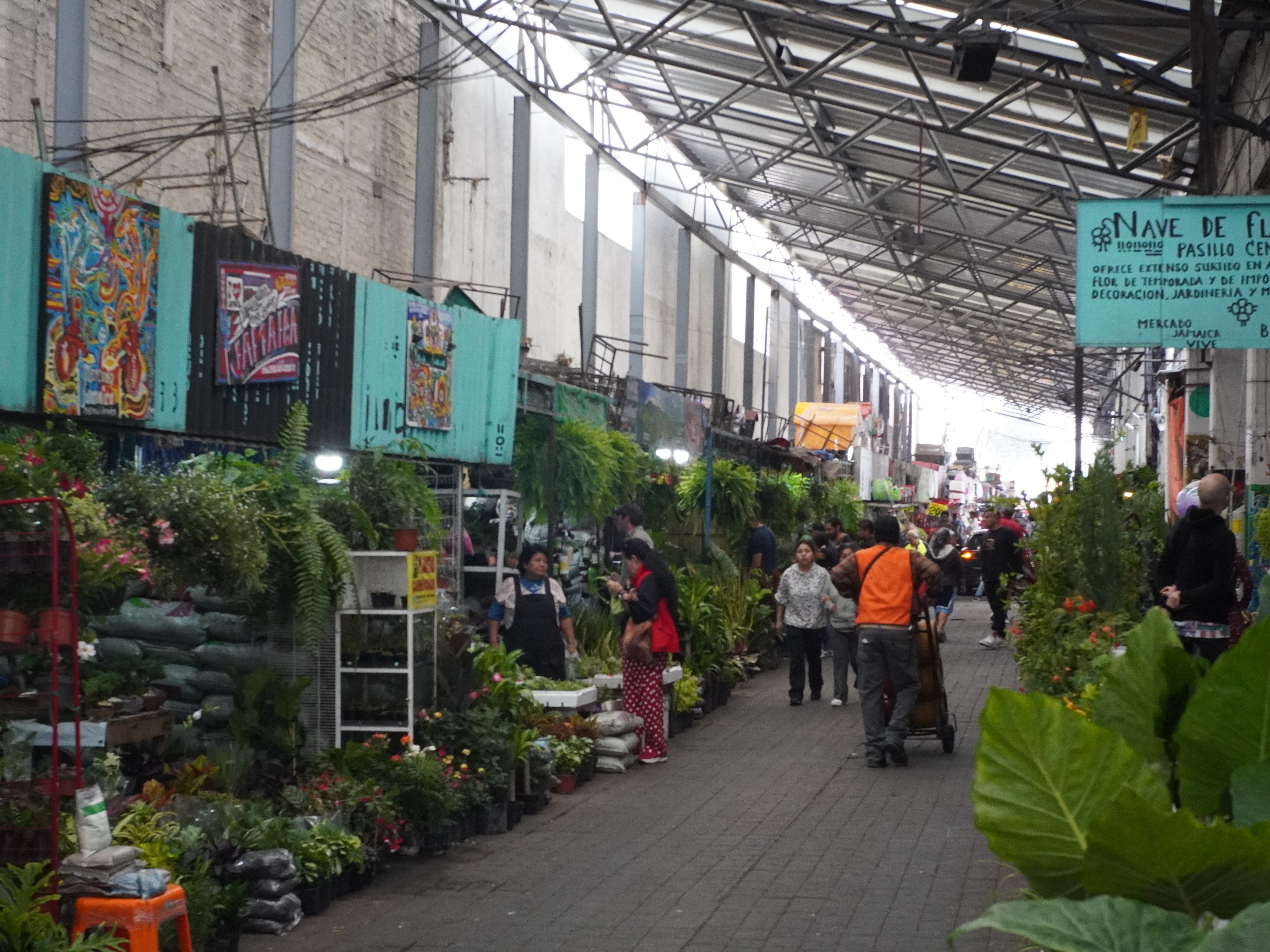Market to Table: Mexican Cooking & Culture Experience