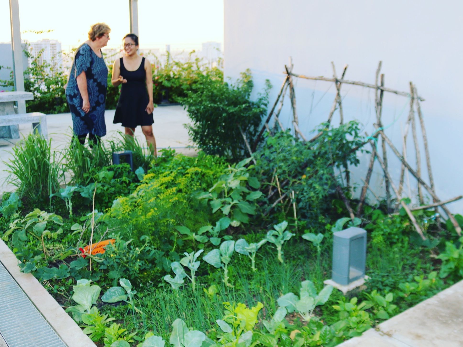 Hands on Cooking Class with Lily & Friends and Explore Local Neighborhoods