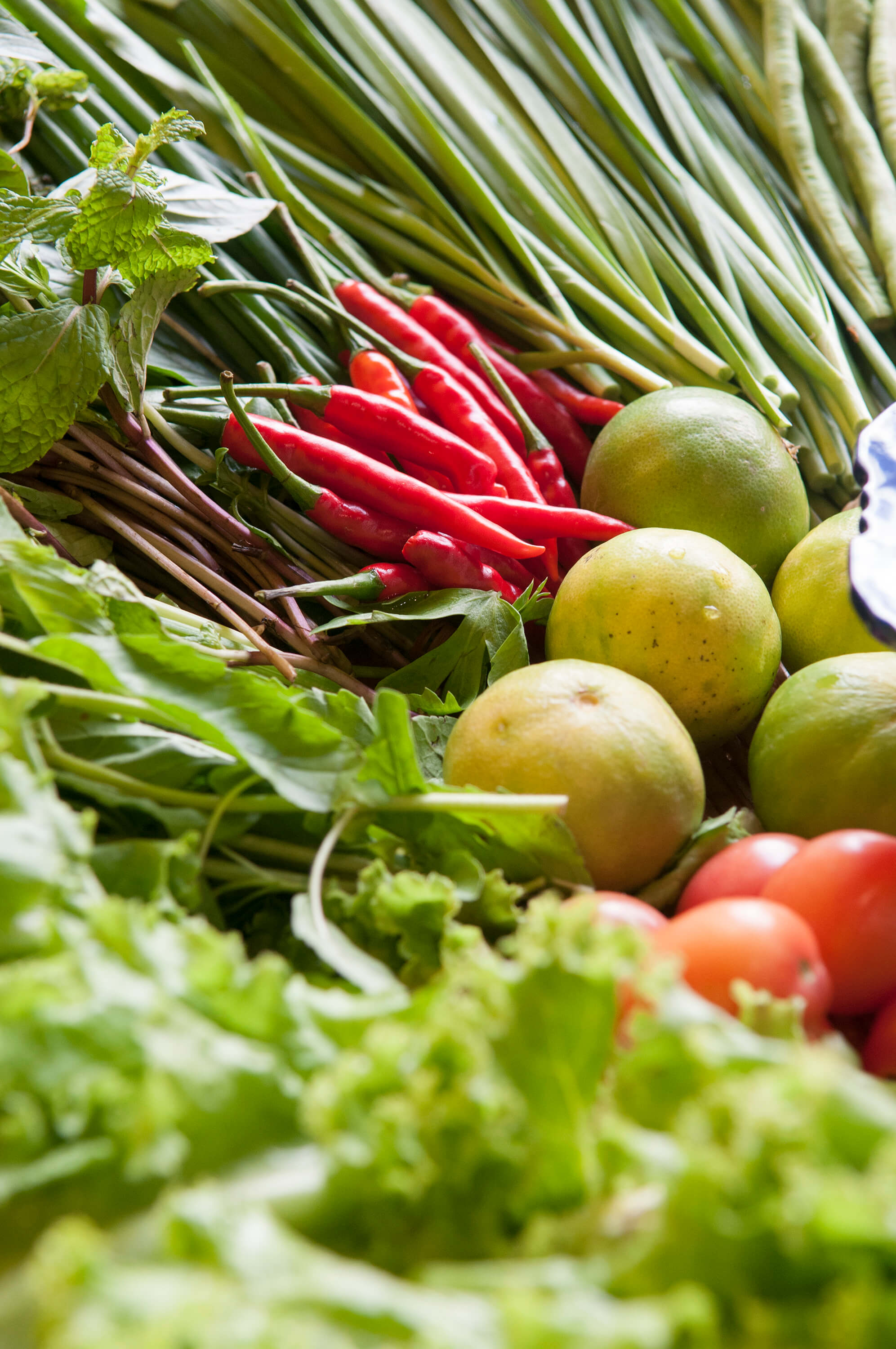 Hands-on Authentic Thai Cooking Class at House of Taste Silom with Morning Market Tour