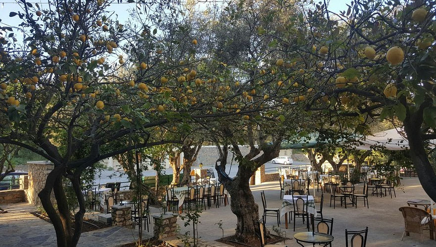 Hands-On Traditional Cretan Cooking Experience in Kritsa