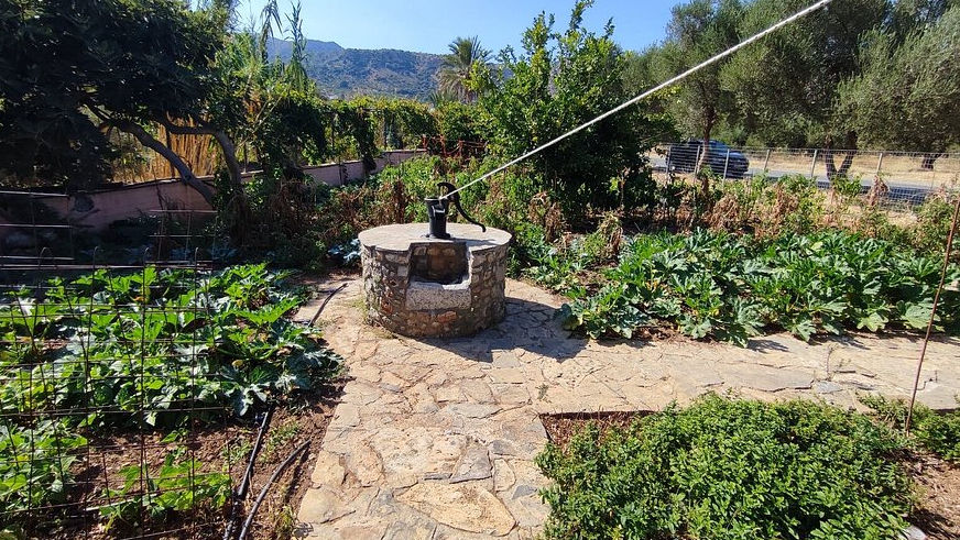 Hands-On Traditional Cretan Cooking Experience in Kritsa