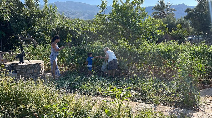 Hands-On Traditional Cretan Cooking Experience in Kritsa