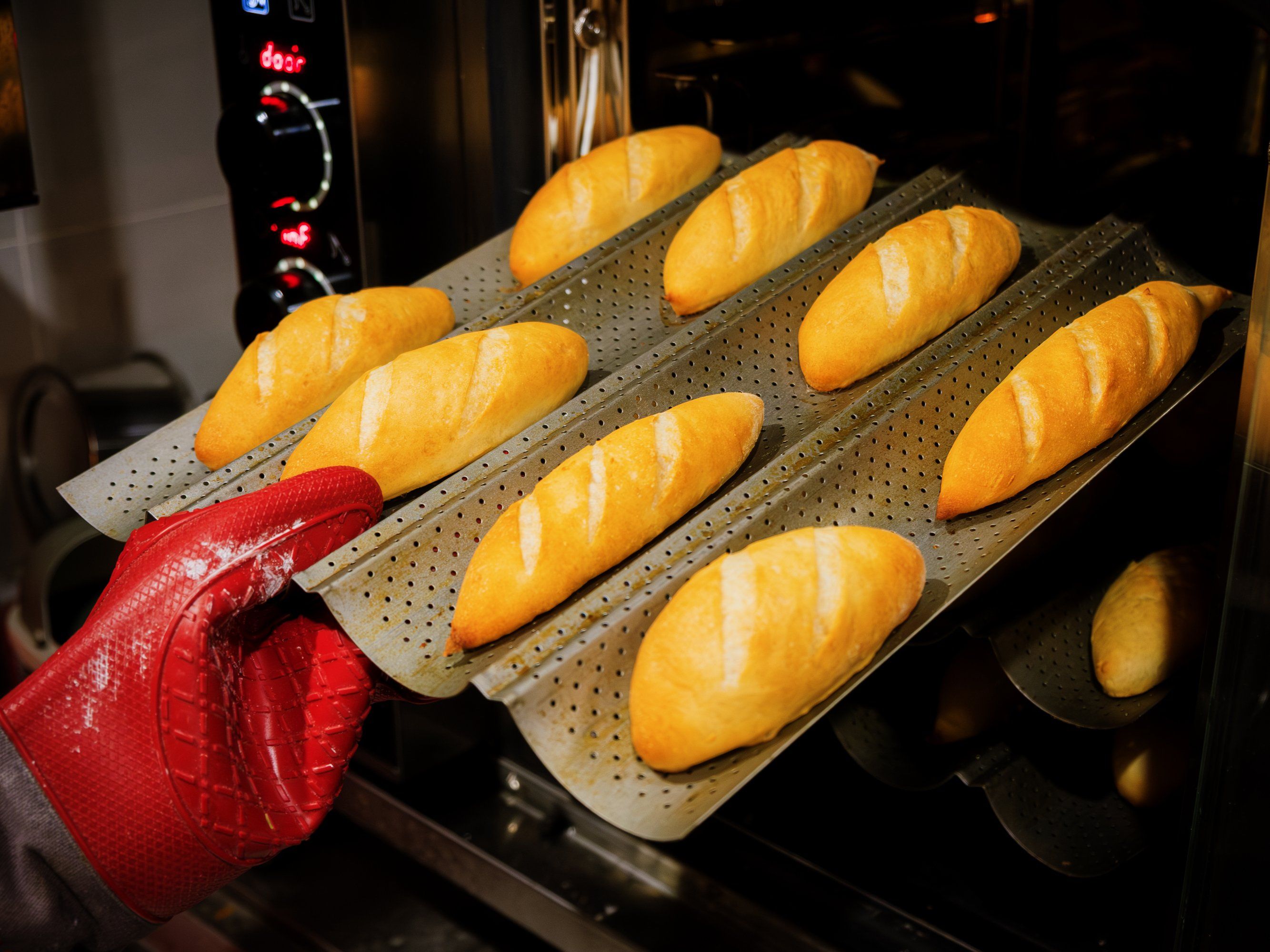 Hanoi Bánh Mì & Coffee Experience: A Taste of French Culinary Heritage