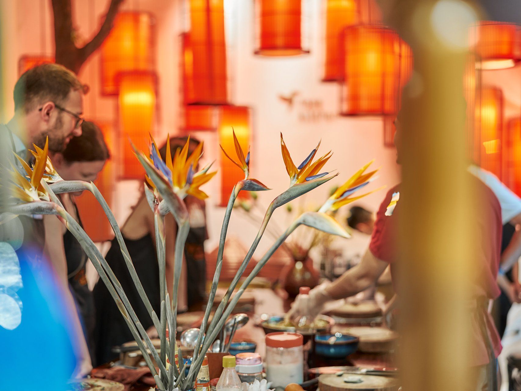 Hanoi Cooking Class: Cha Ca, Spring Rolls and Free Specialty Coffee Treat