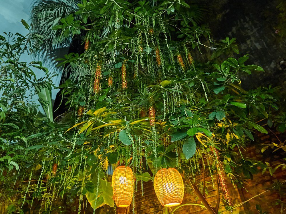 Hanoi by Night: Food, Culture and Flag Ceremony Experience