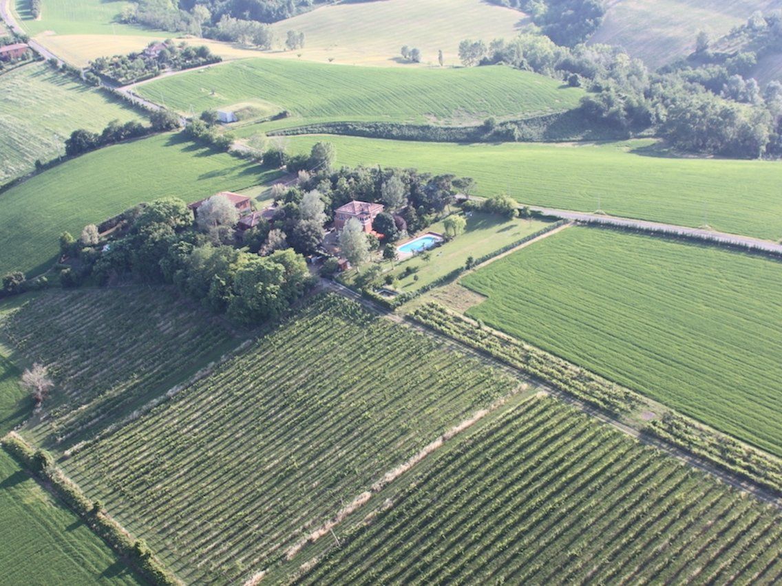 Heritage of the Hunting Lodge: Wild Boar Cuisine Experience at Villa degli Olmi