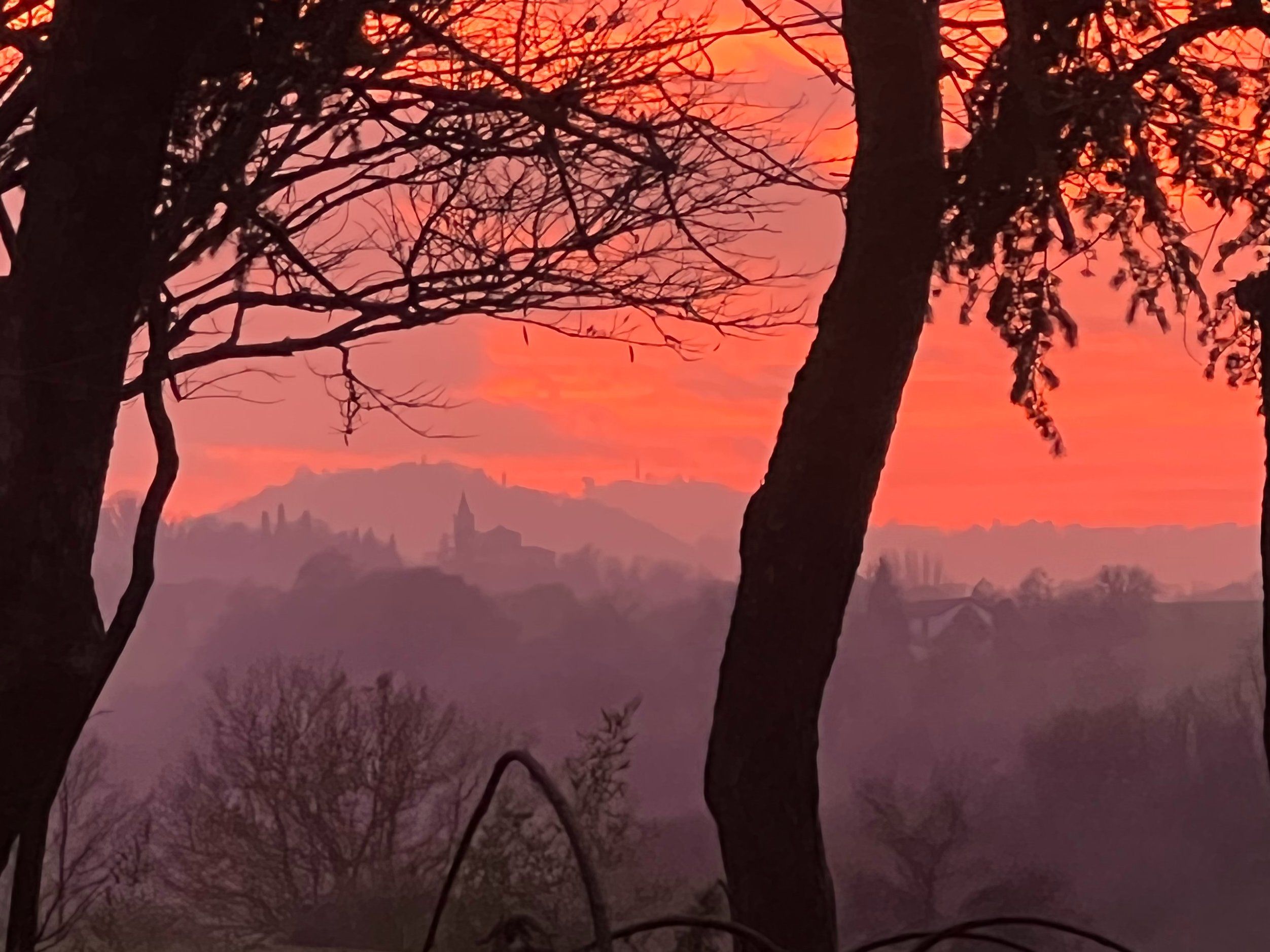 Heritage of the Hunting Lodge: Wild Boar Cuisine Experience at Villa degli Olmi
