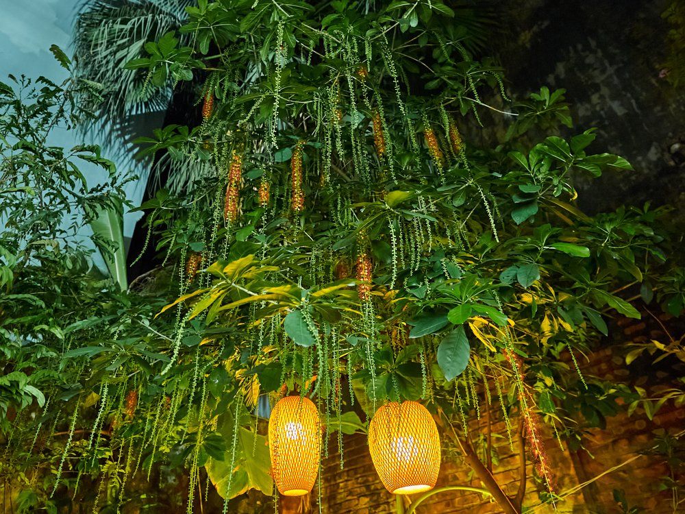 Cook Nem Rán & Bún Chả in Hanoi Garden Villa and Free Egg Coffee