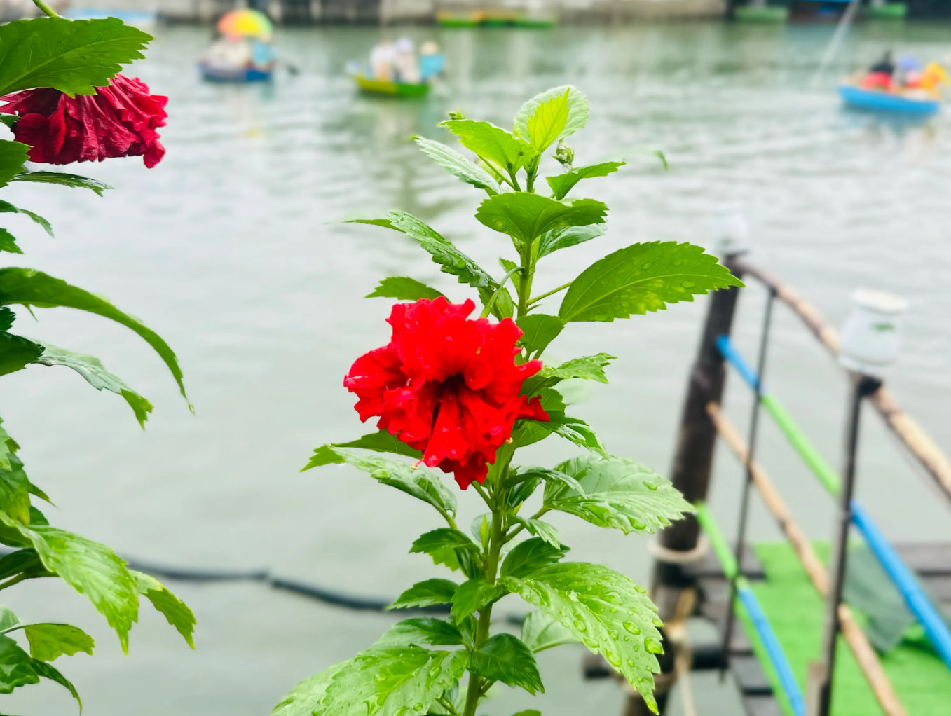 Hoi An Riverside Cooking Class with Market Tour, Basket Boat & Fishing