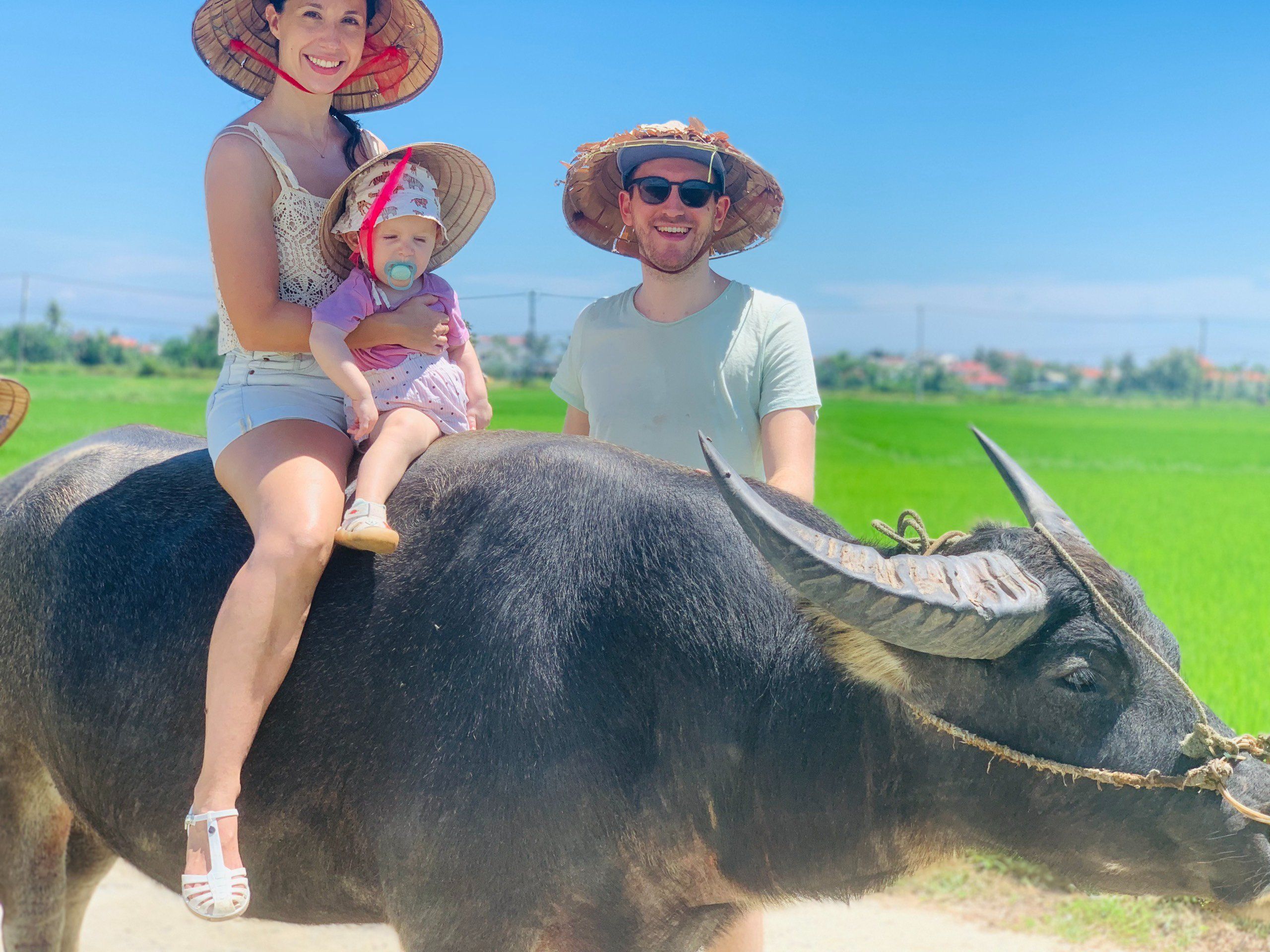 Hoi An Countryside Bike, Riding Buffalo and Basket Boat with Meal