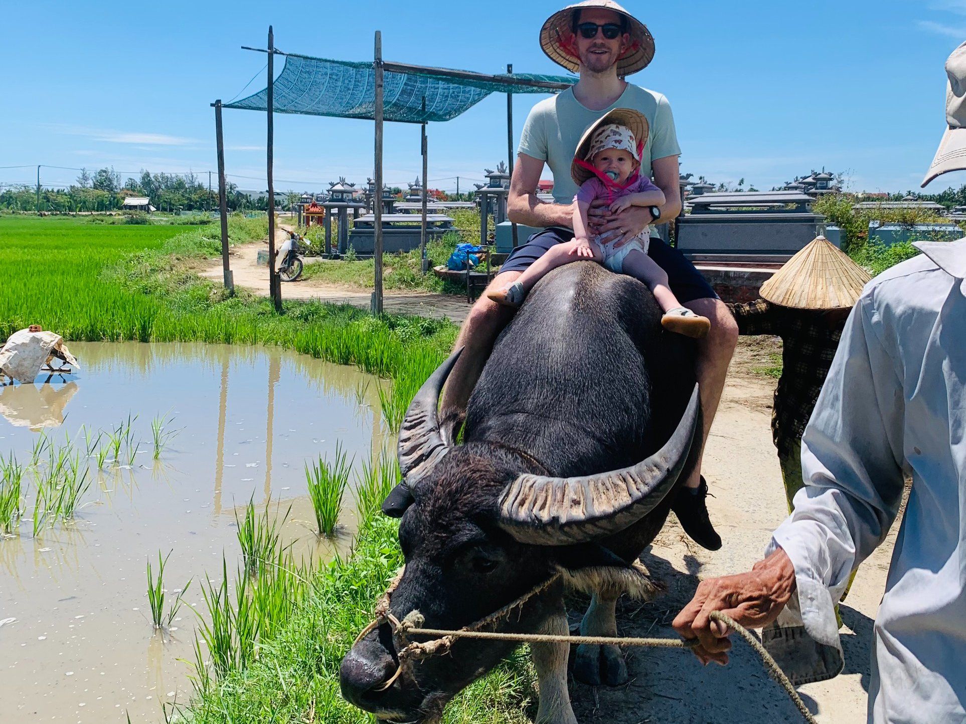 Hoi An Countryside Bike, Riding Buffalo and Basket Boat with Meal