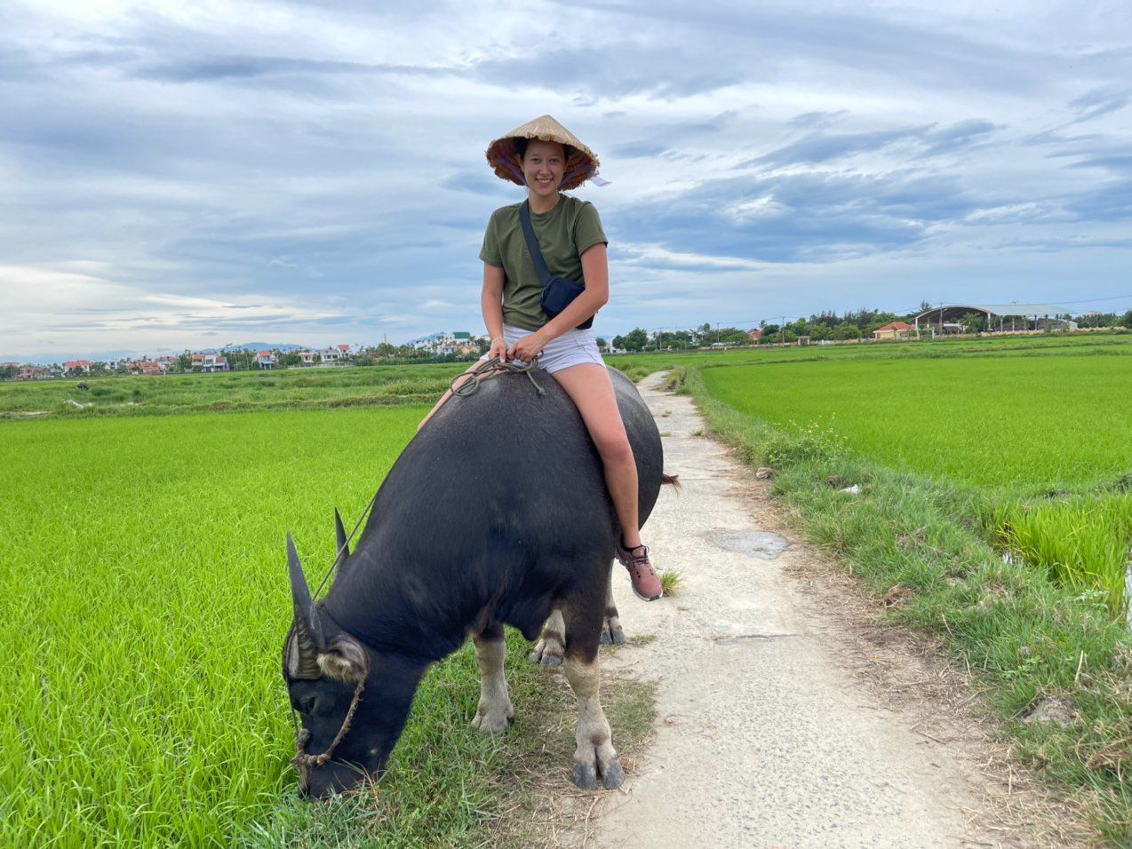 Hoi An Countryside Bike, Riding Buffalo and Basket Boat with Meal