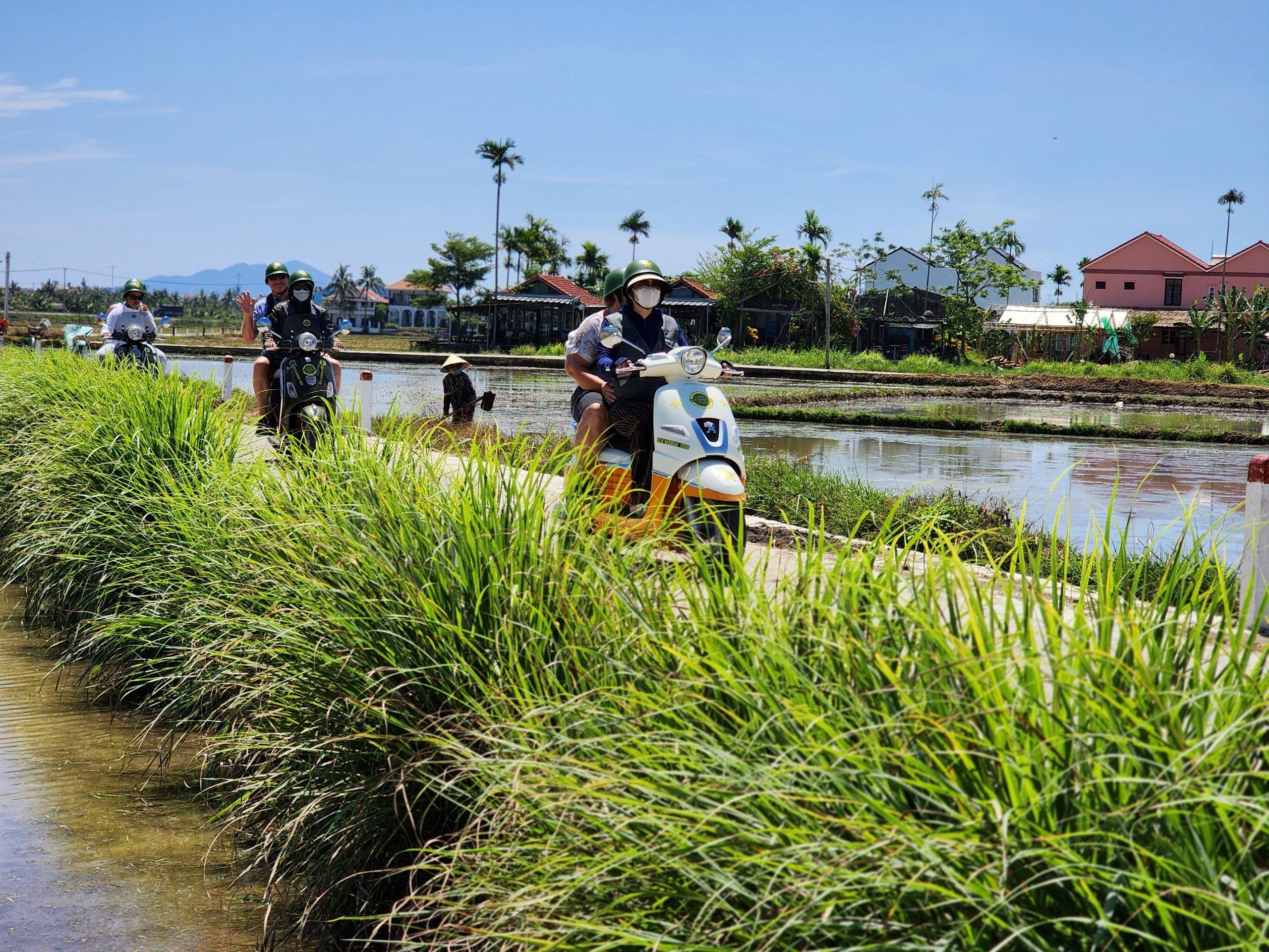 Hoi An Vespa Culinary Journey – Market Tour, Village Visit & Cooking Class