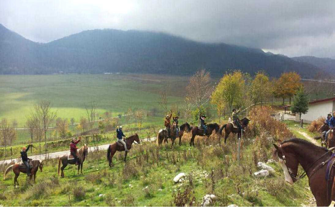 Horseback Riding + Lemon Grove Tour on the Amalfi Coast