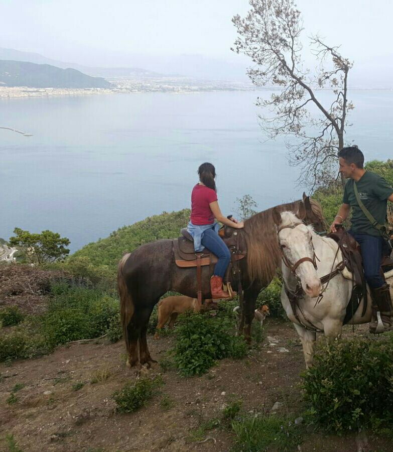 Horseback Riding Tour + Pasta Making Class on the Amalfi Coast