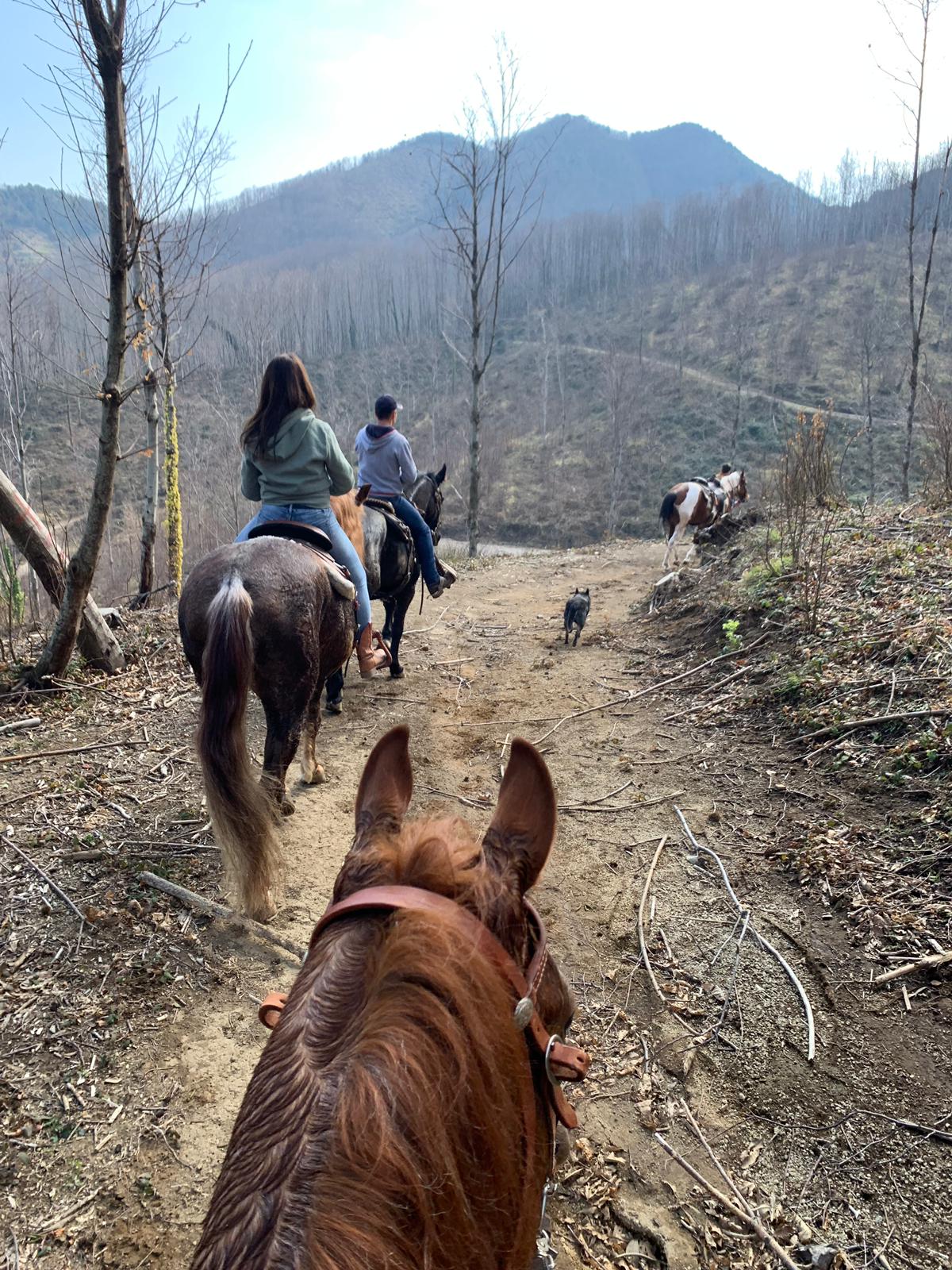 Horseback Riding Tour + Pasta Making Class on the Amalfi Coast