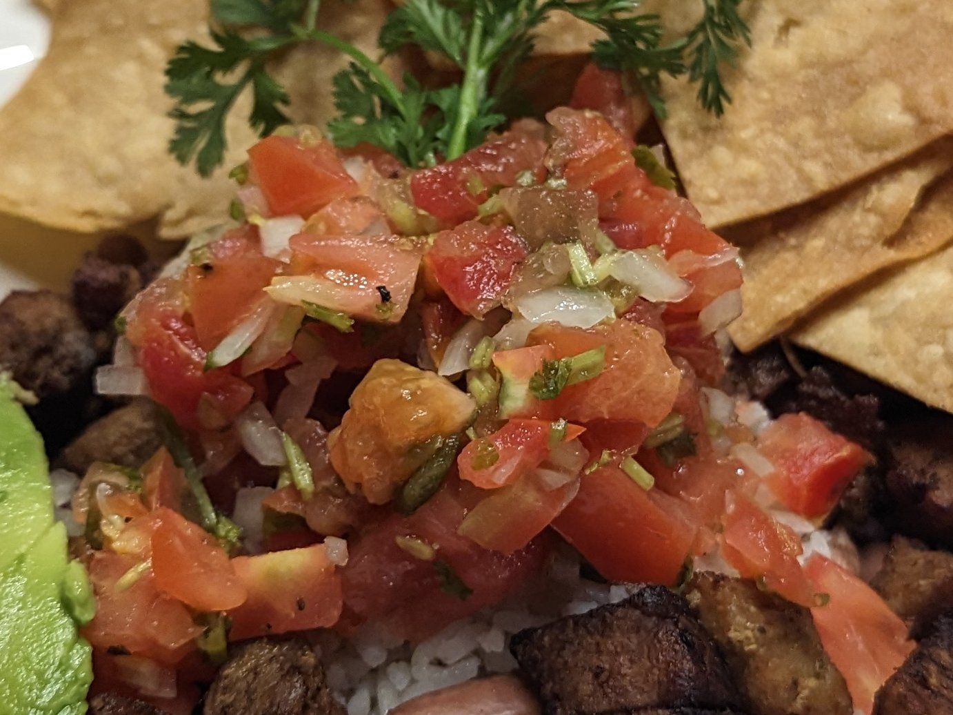 A Journey Through Coastal Delights in Puerto Viejo