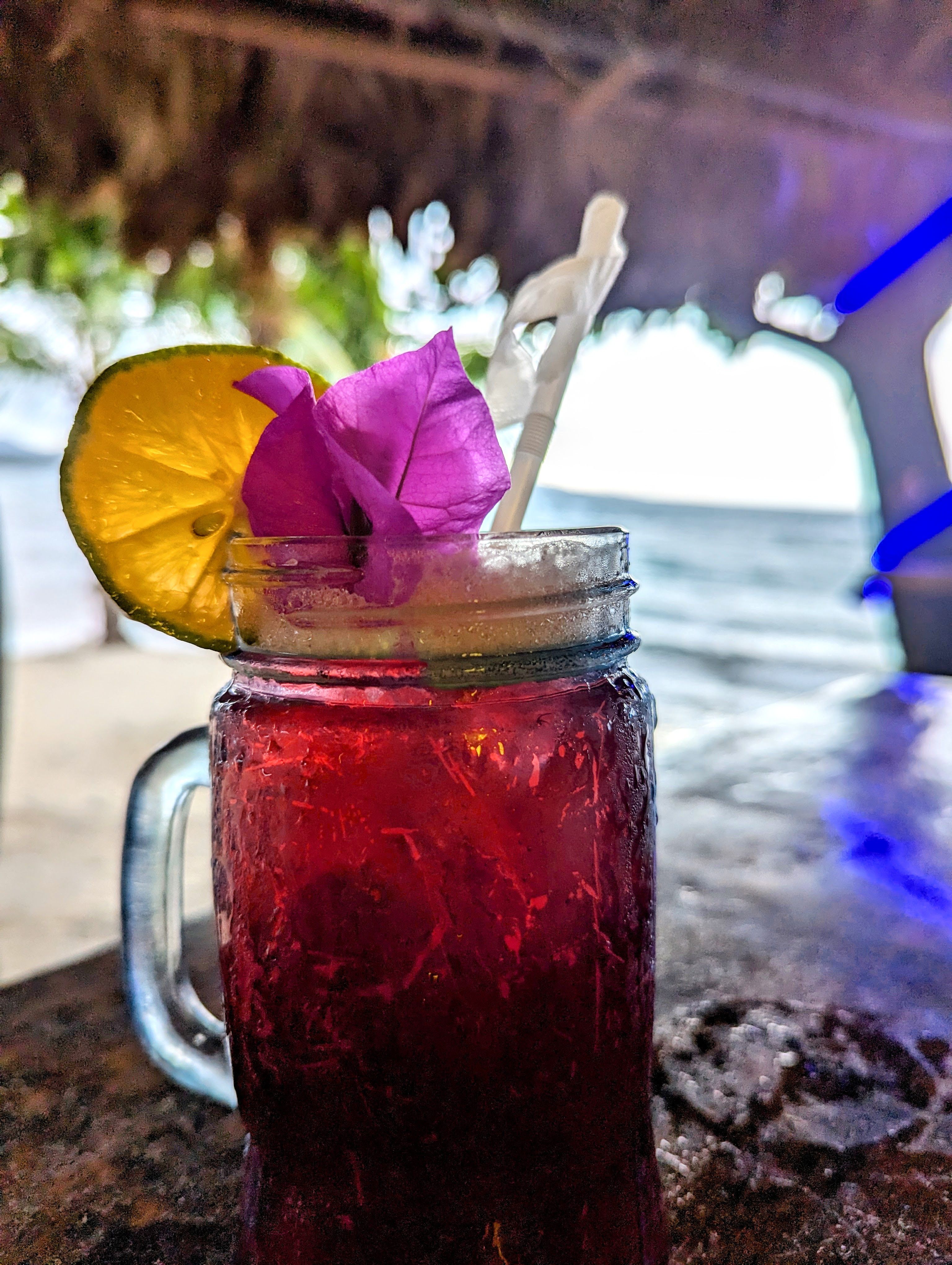 A Journey Through Coastal Delights in Puerto Viejo