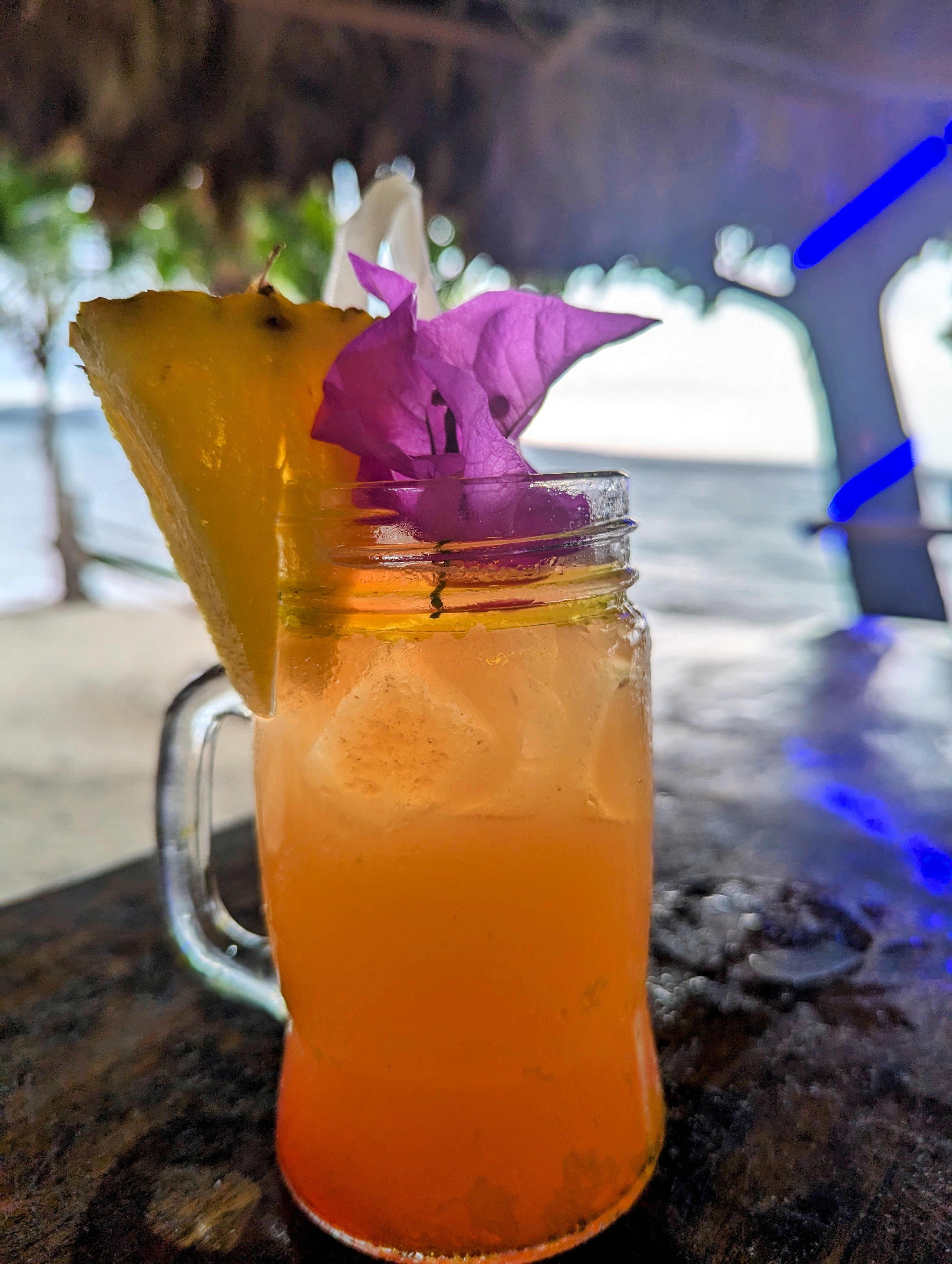 A Journey Through Coastal Delights in Puerto Viejo