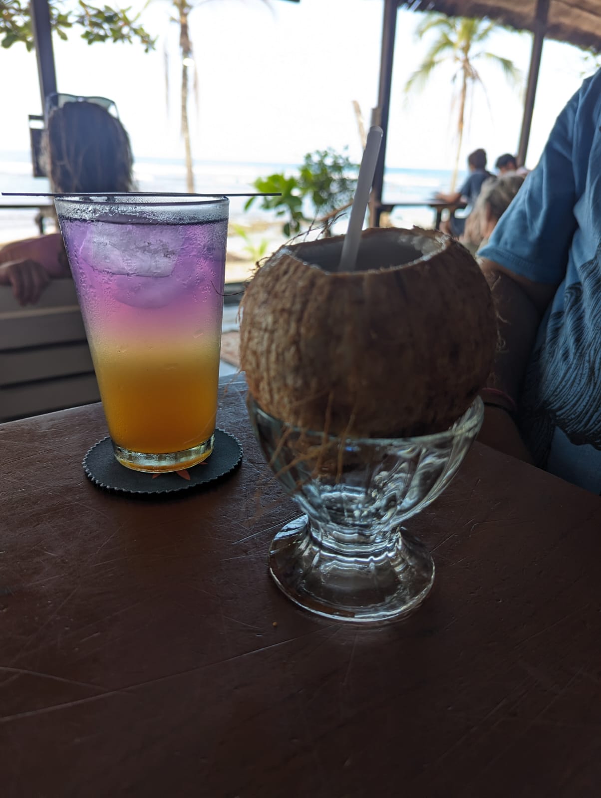 A Journey Through Coastal Delights in Puerto Viejo