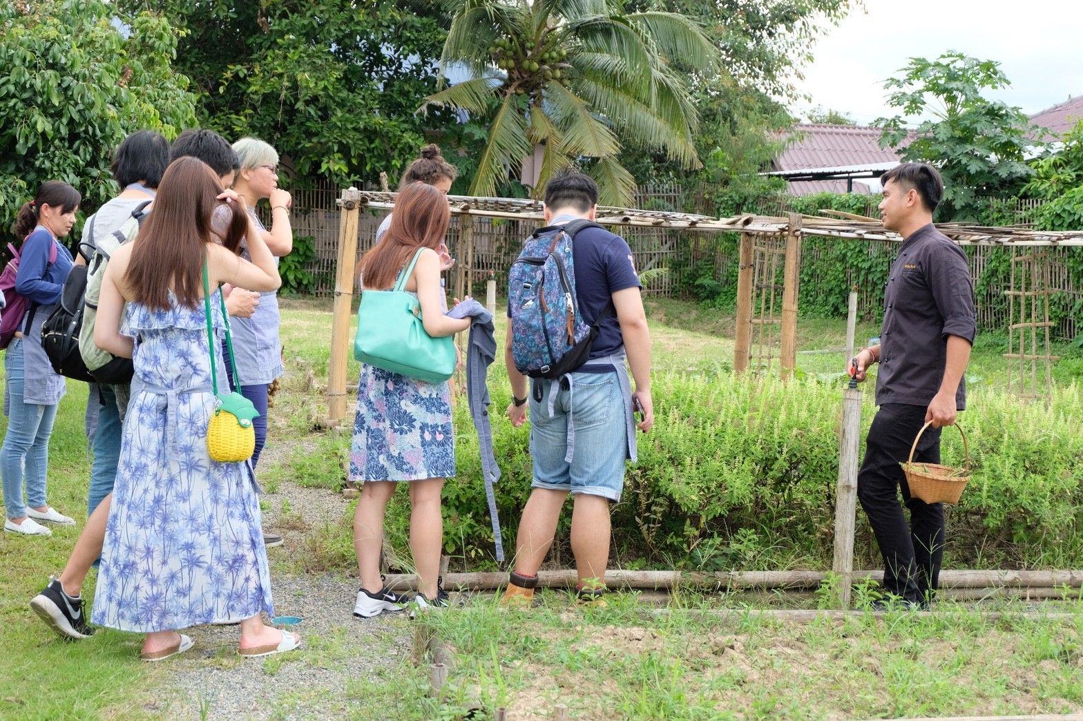 Genieße authentische Thai-Aromen auf Bio-Farm