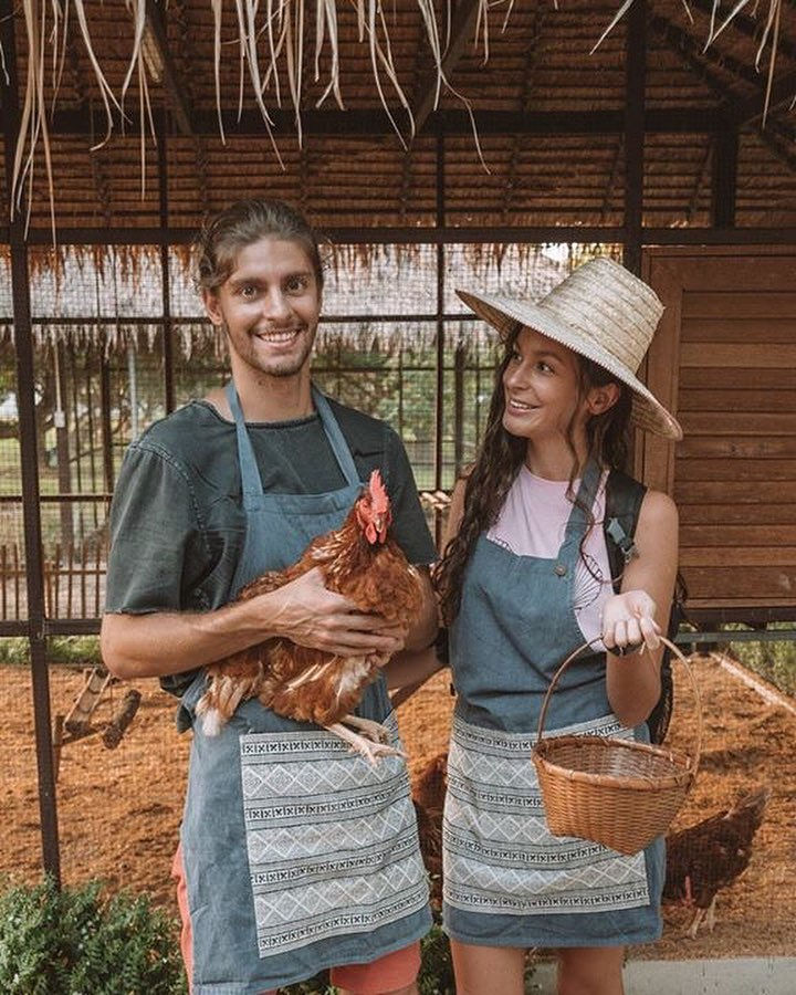 Genieße authentische Thai-Aromen auf Bio-Farm