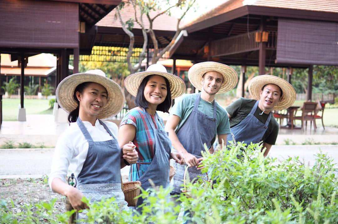 Genieße authentische Thai-Aromen auf Bio-Farm
