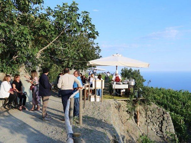 Tour dei vigneti e degustazione di vini a Ischia