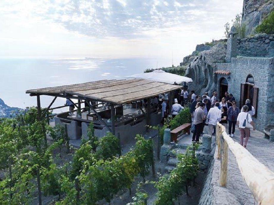 Tour dei vigneti e degustazione di vini a Ischia